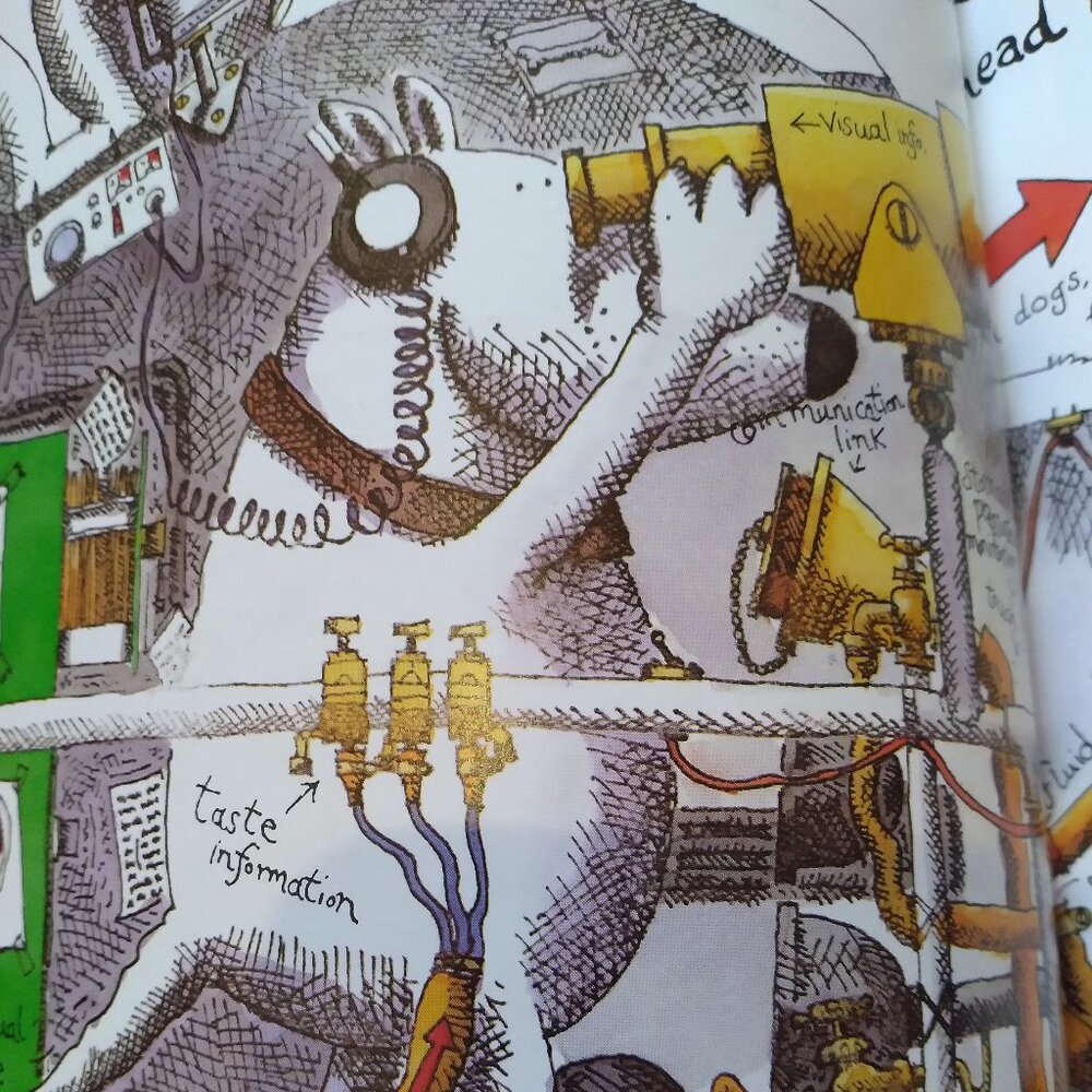 How Dogs Really Work Book - Picture 9 of 11